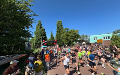 Hitte Fitheid
